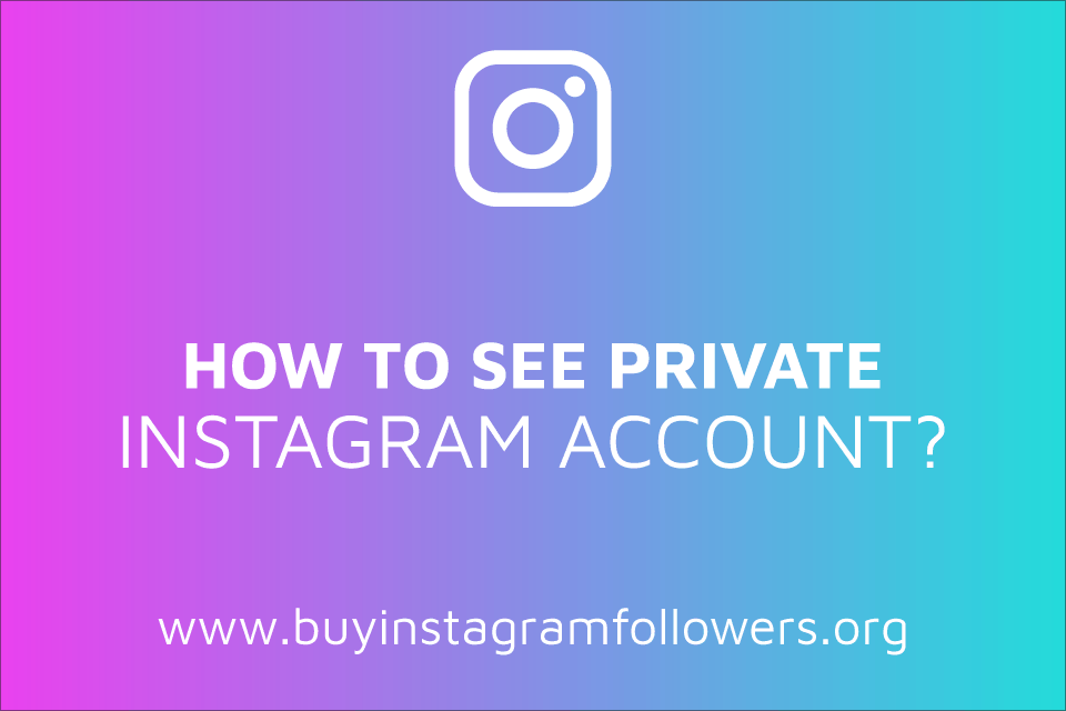 how to see private instagram account